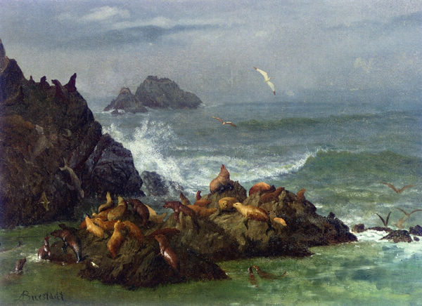 Seal Rocks, Pacific Ocean, California - Click Image to Close