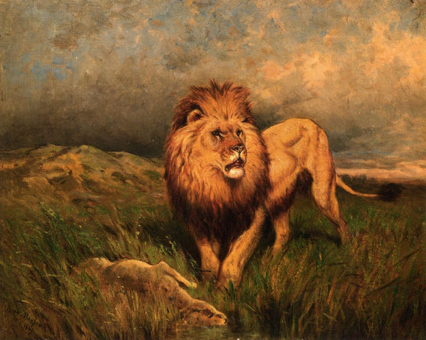 Lion and Prey