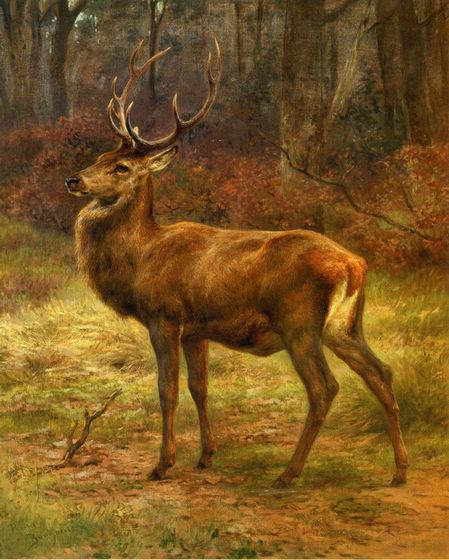 Stag in an Autumn Landscape - Click Image to Close