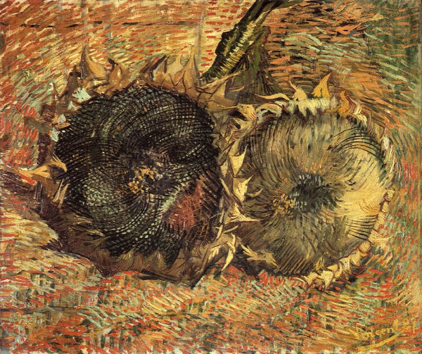 Still Life with Two Sunflowers V