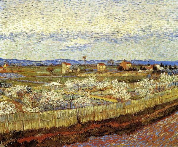 La Crau with Peach Trees in Bloom - Click Image to Close