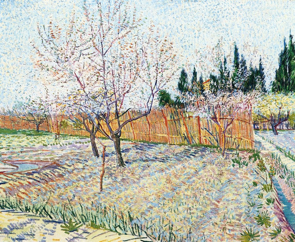 Orchard with Peach Trees in Blossom - Click Image to Close