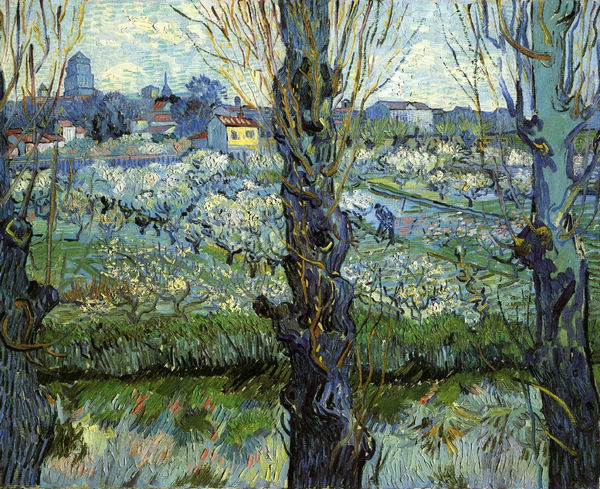 Orchard in Bloom with Poplars - Click Image to Close