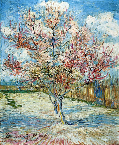 Peach Trees in Blossom V - Click Image to Close
