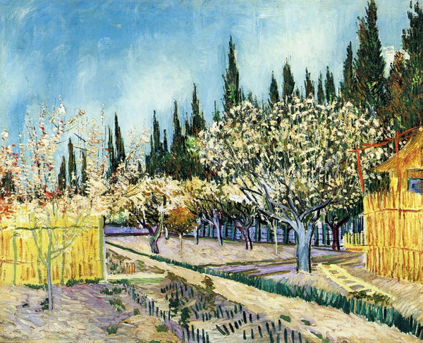Orchard Surrounded by Cypresses - Click Image to Close